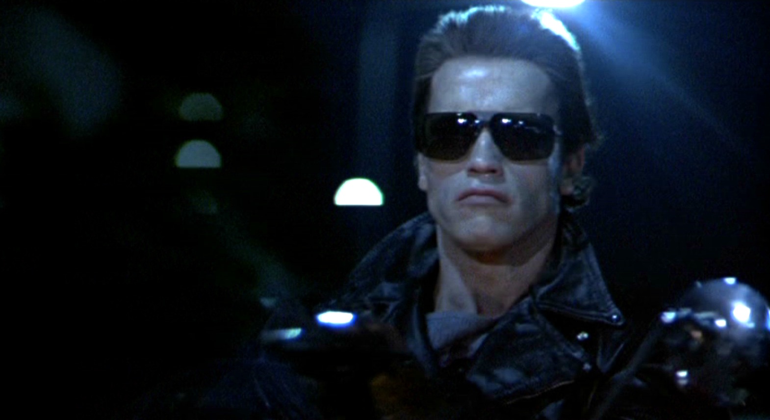 The Terminators Sunglasses