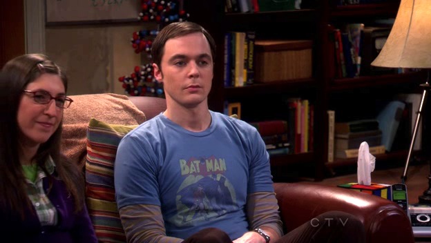 Sheldon's Batman & Robin Shirt 