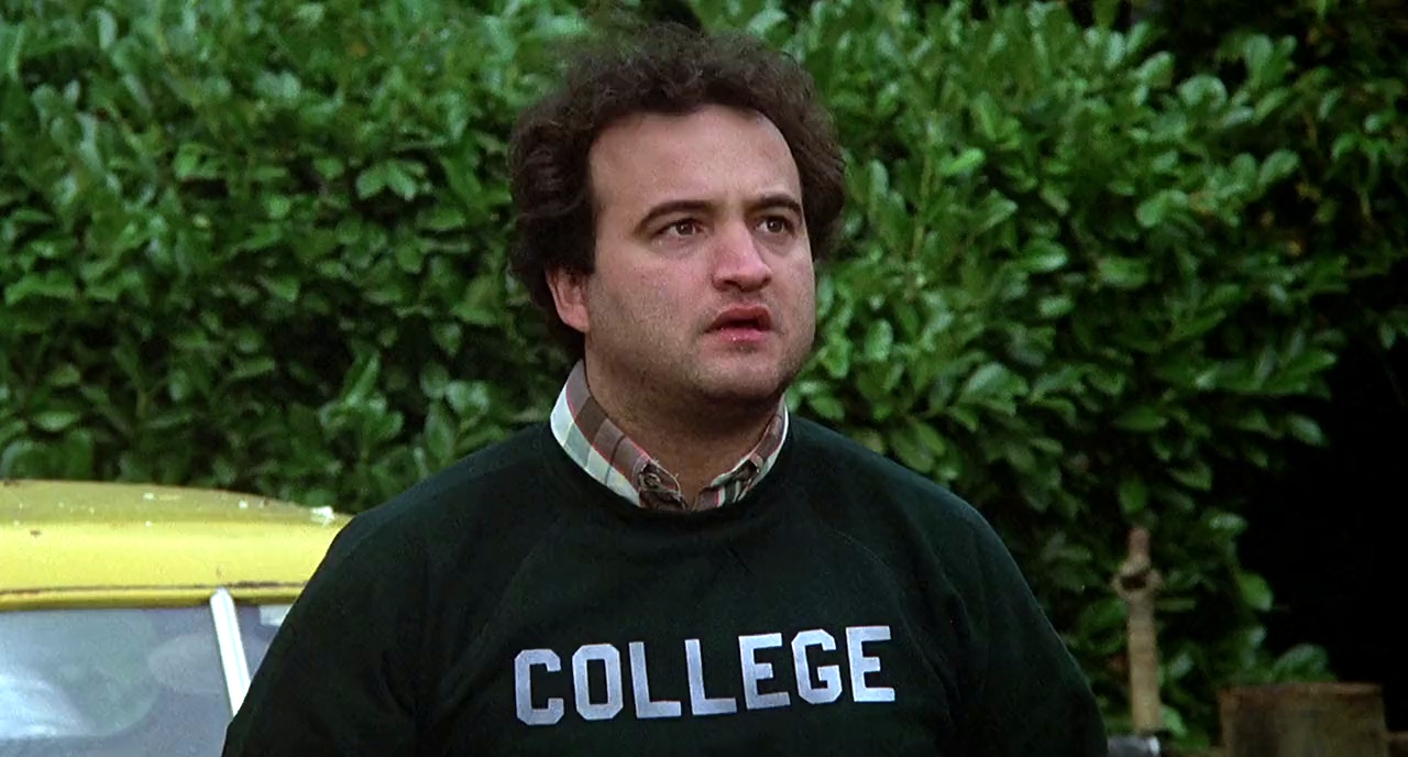 Belushi Bluto Tribute 70s Comedy Crewneck New York Fashion Police College Sweatshirt